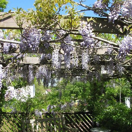 Broadhayes Hotel Totnes Exterior photo