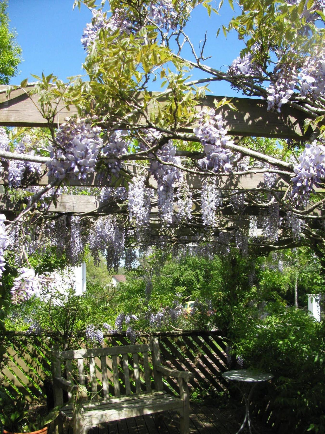 Broadhayes Hotel Totnes Exterior photo